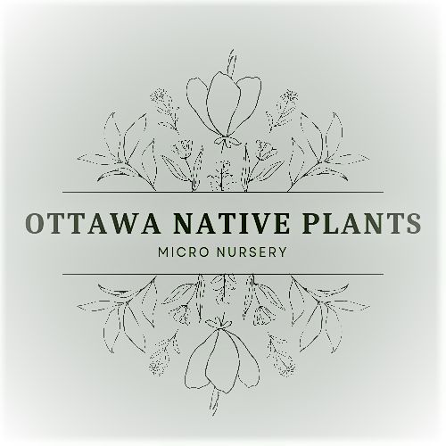Ottawa Native Plants