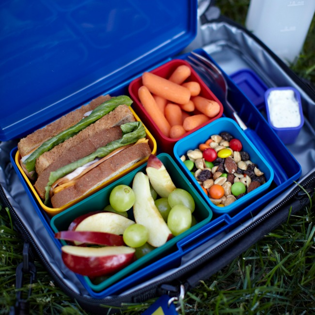 https://caroliniancanada.ca/sites/default/files/User/General/101419495_Waste-Free-Lunch-on-the-Grass_Photo-by-Meredith.jpg