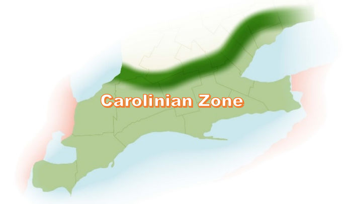 Carolinian Zone