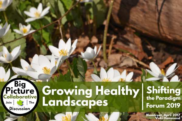 Shifting The Paradigm Forum 2019: Growing Healthy Landscapes