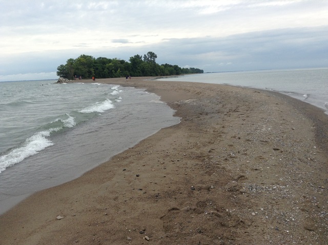 GWTA - Point Pelee National Park