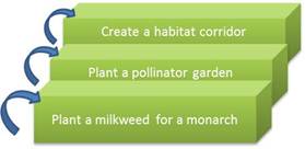 Figure 7: start by planting a milkweed for a monarch. Build on the previous step by panting a pollinator garden.  Finally, graduate to constructing an entire habitat corridor