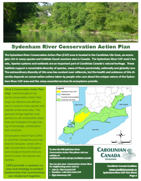 Sydenham River CAP Fact sheet