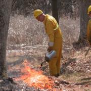 Image of David Clemons doing a controlled burn