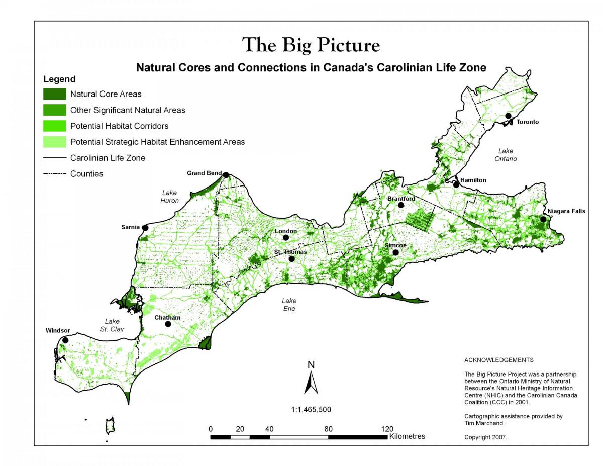 Carolinian Canada Big Picture map
