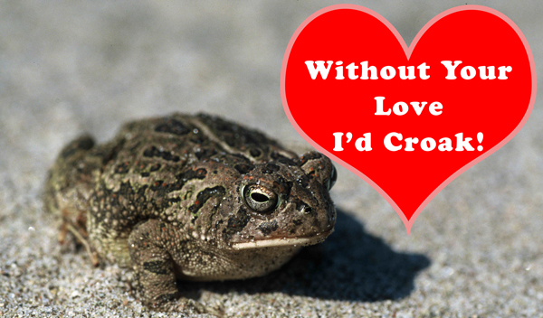 The Fowler's Toad Says: Without you I'd croak!