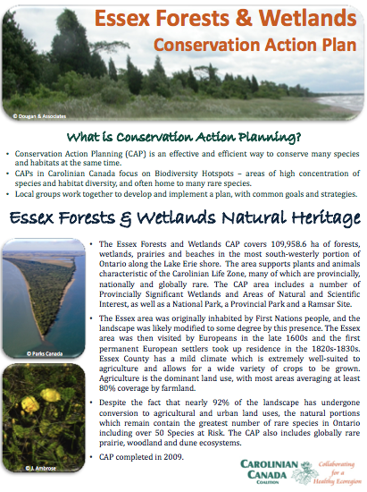 Essex Forests and Wetlands CAP fact sheet