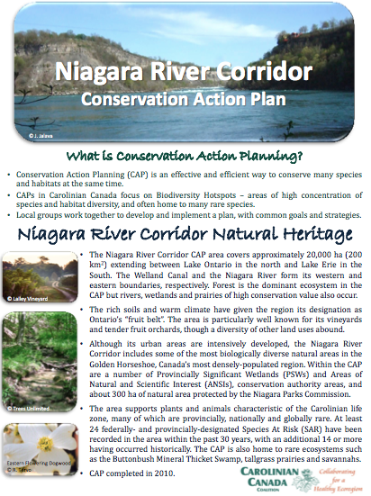 Niagara River CAP Fact Sheet