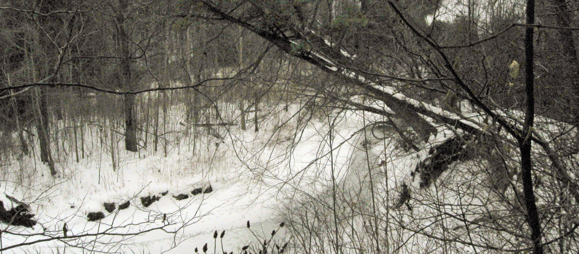 Conservation at Hickory Creek | Carolinian Canada