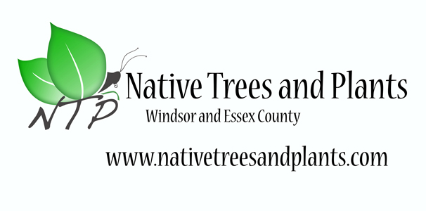 Native Trees and Plants