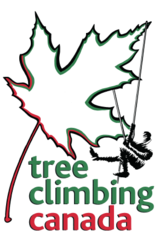 Tree Climbing Canada