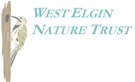 West Elgin Nature Trust Logo