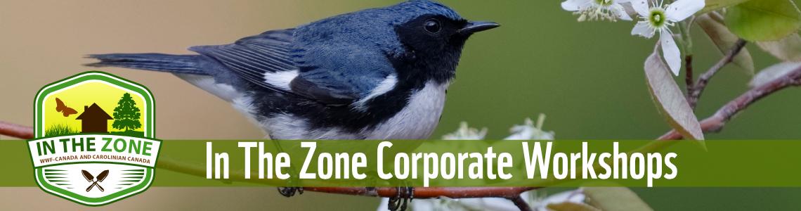 In The Zone Corporate Workshops