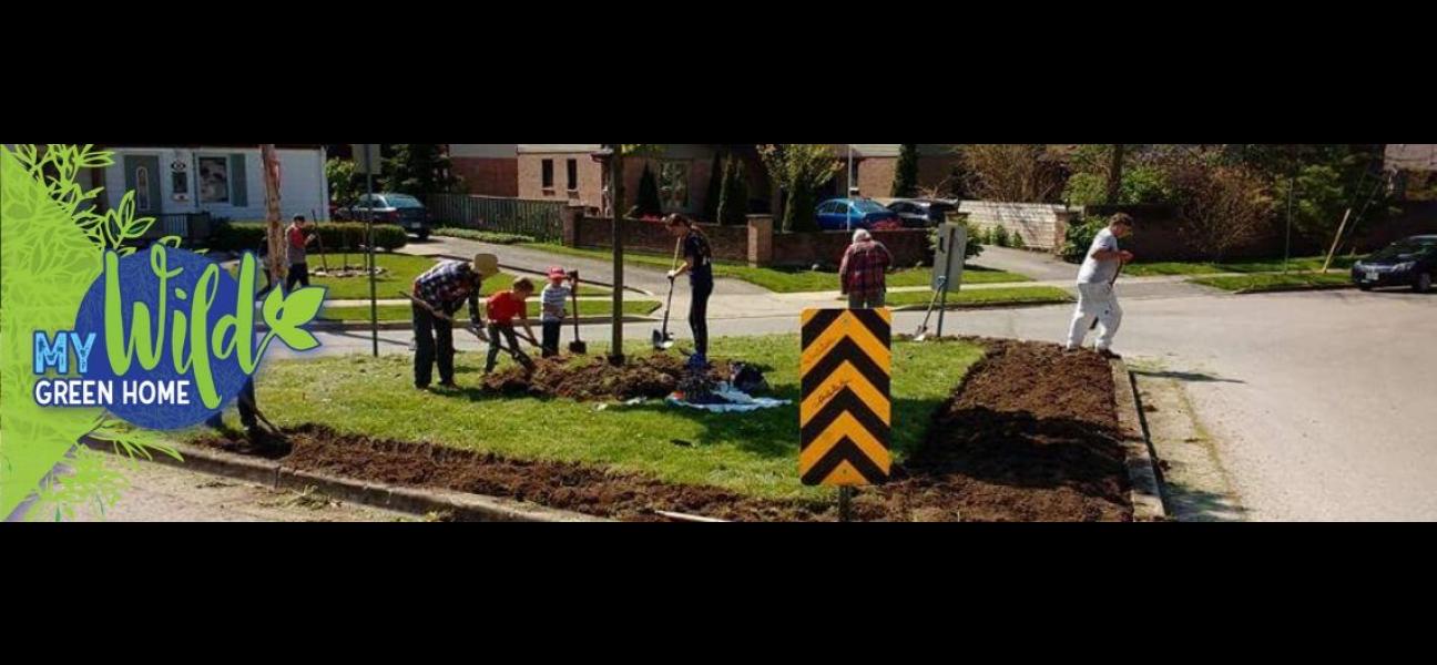 A group of adults and children are shoveling out grass from a median in the neighbourhood to plant a pollinator garden