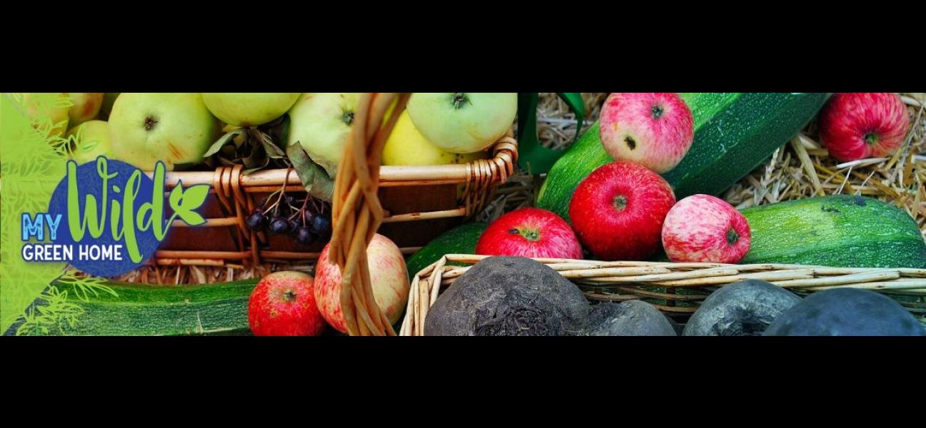 Close up of zucchinis, apples, a basket of beets, and a basket of apples. 