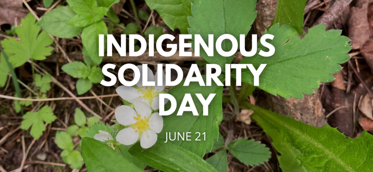 Indigenous Solidarity Day