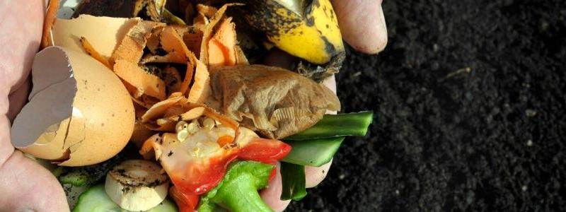 A handful of organic waste, including egg shells, banana peels, and vegetable scraps are held over a pile of dark brown dirt.