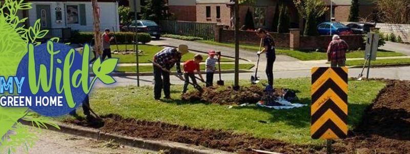 A group of adults and children are shoveling out grass from a median in the neighbourhood to plant a pollinator garden