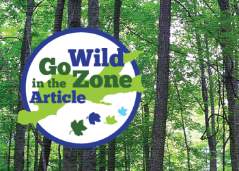 Go Wild in the Zone Article