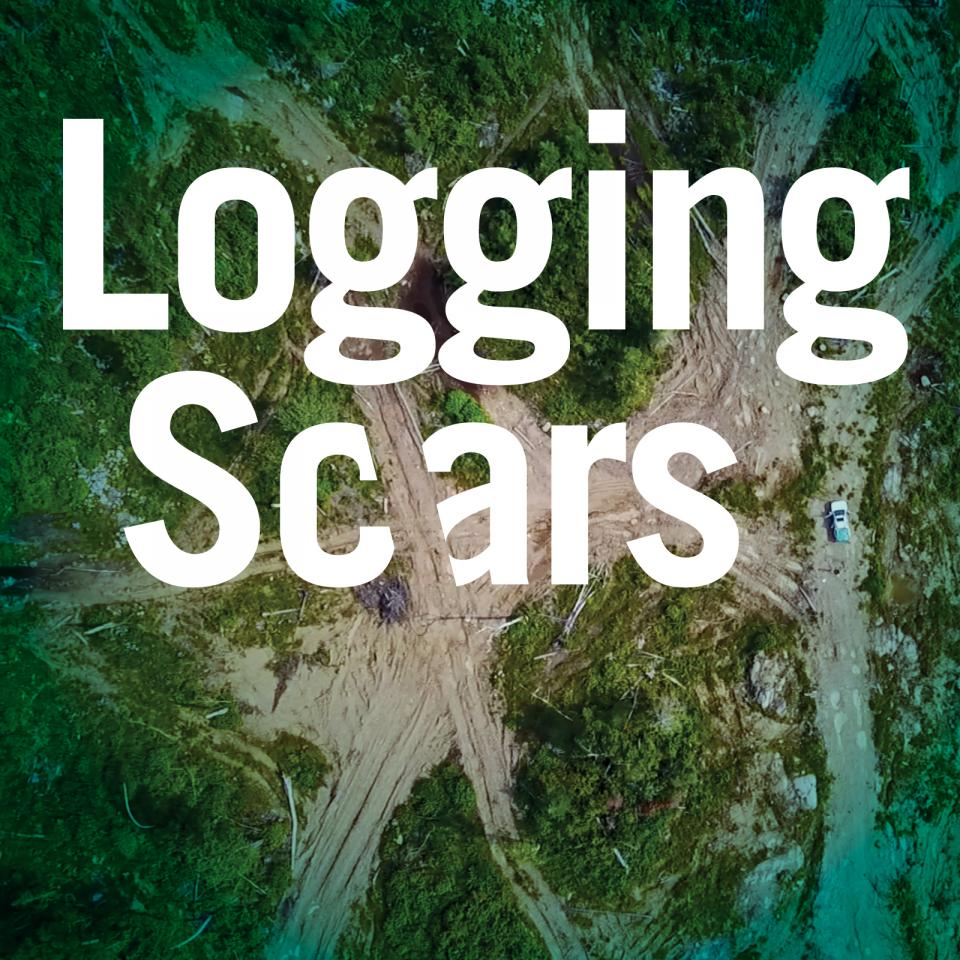 An aerial shot shows the extensive damage done by logging roads created in a Northern Ontario forest. There is a truck on the road for scale. Over the image is large text reading: Logging Scars.